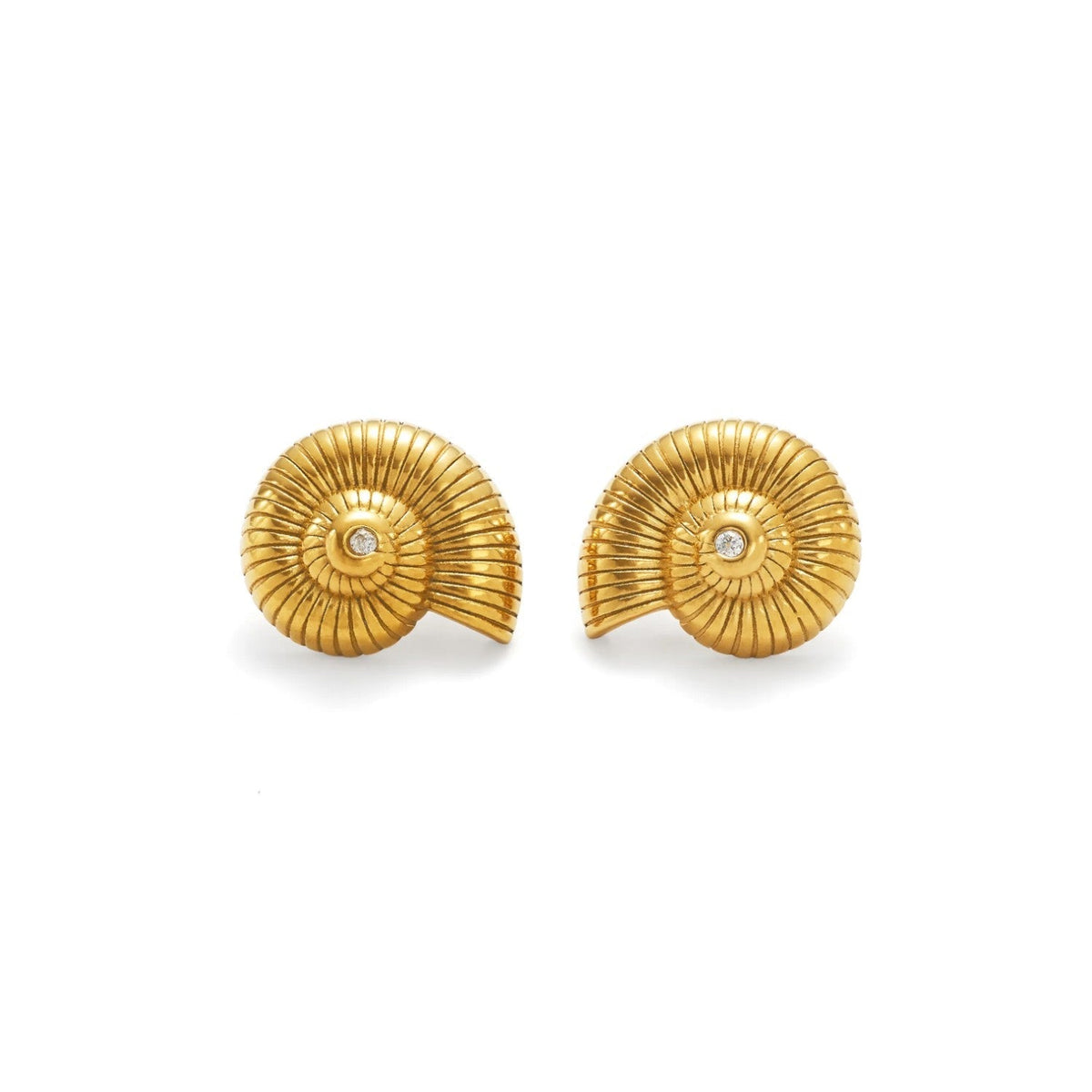 Conch Earrings